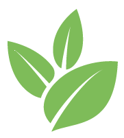 Buzz Grape Vine Pruning