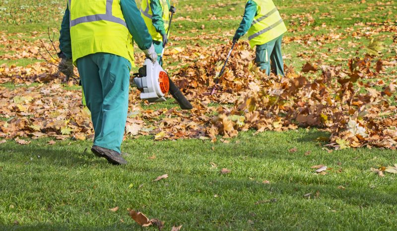 Leaf Blower and Rake in Use