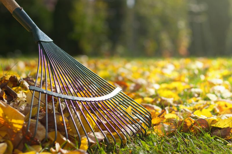 Lawn Care Tools for Fall Cleanup