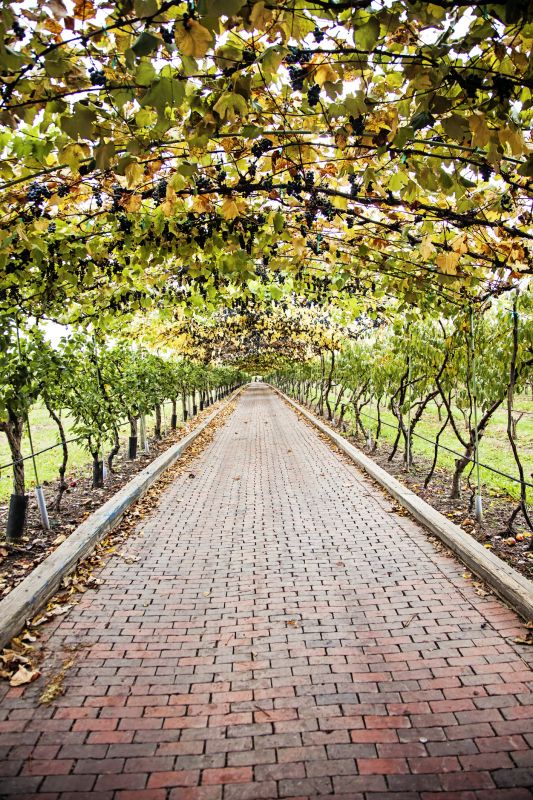 Budget-Smart Upgrades