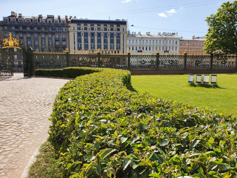 Shrubs Along Garden Edges